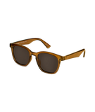 Wollumbin Universal Offsprey Sunglasses