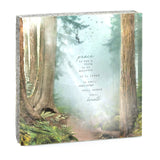 Cedar Mountain Art Blocks